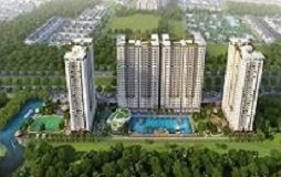 CÔNG MINH VỪA TRÚNG THẦU GÓI KHE CO GIÃN CÔNG TRÌNH THE PARK RESIDENCE QUẬN 7