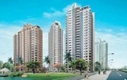 THI CÔNG LẮP ĐẶT KHE CO GIÃN DỰ ÁN CHUNG CƯ PHÚ MỸ 2