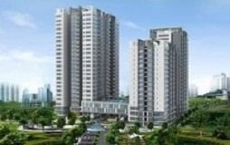 TRÚNG THẦU KHE CO GIÃN THE SILVER STAR